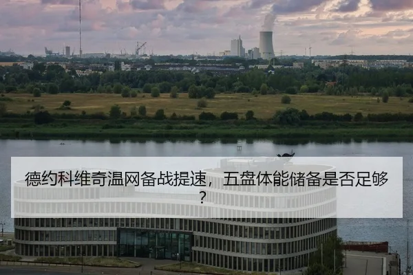 de-yue-ke-wei-qi-wen-wang-bei-zhan-ti-su-wu-pan-ti-neng-chu-bei-shi-fou-zu-gou-2-769.jpg