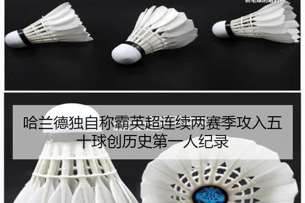 ha-lan-de-du-zi-cheng-ba-ying-chao-lian-xu-liang-sai-ji-gong-ru-wu-shi-qiu-chuang-li-shi-di-yi-ren-ji-lu-3-304.jpg