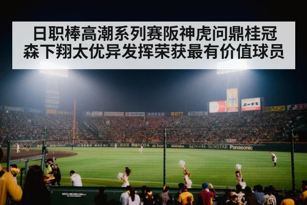 baseball stadium night